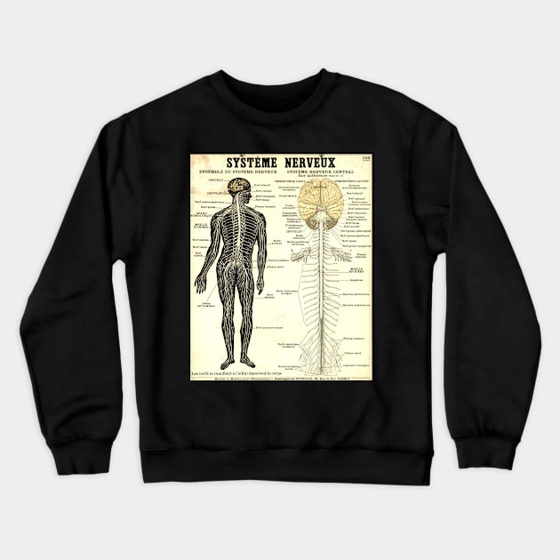 Vintage Poster of the Nervous System Crewneck Sweatshirt by CorrieMick